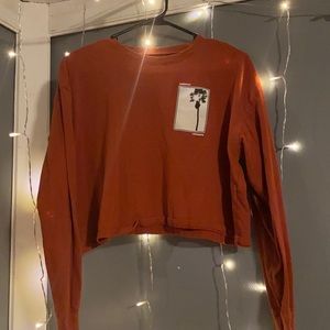 Cropped hollister long sleeve